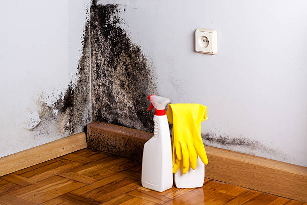 Local water damage restoration in Rustburg, VA